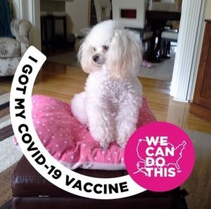 Meet your Posher, Jane